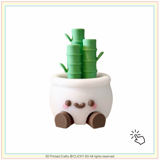 Lucky cute bamboo plant